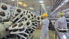 Chocolates Production Lines