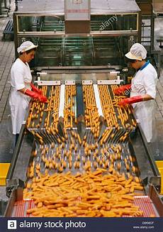 Fast Foods Production Lines