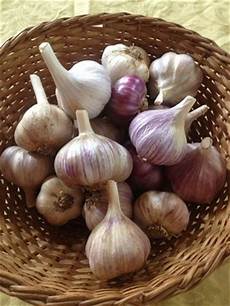 Garlic Soaps