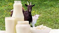 Goat Milks
