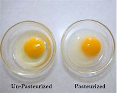 Pasteurized Egg