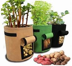Plant Bag