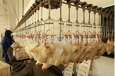 Poultry Machinery