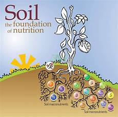 Soil Chemical