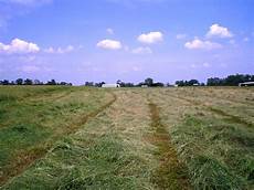 Agriculture Machine