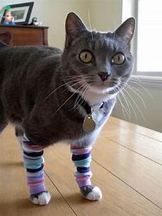 Baby Socks