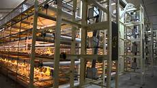 Broiler Farm