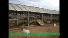 Broiler Farm