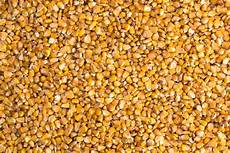 Cattle Feed