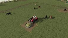 Cattle Feed