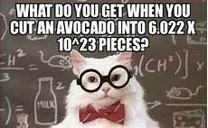 Chem