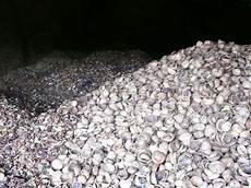 Crushing Plant