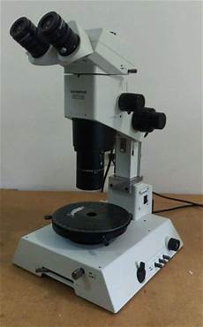 Diaphragm