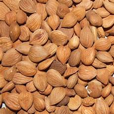Dried Apricot