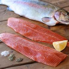 Fillet Trout