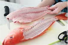 Fillet Trout