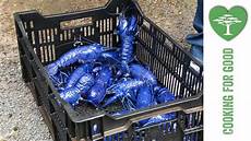 Fish Farming