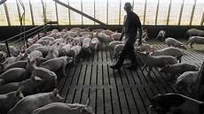Fish Farming