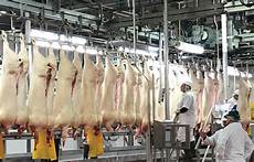 Food Processing Machine