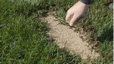 Grass Peats