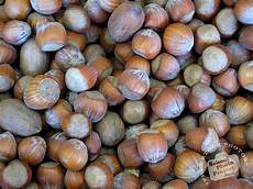 Hazelnut Paste