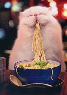 Instant Noodles