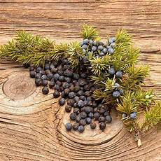 Juniper Oils