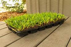 Liquid Fertilizer