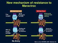 Maraviroc