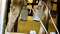 Milking Machine