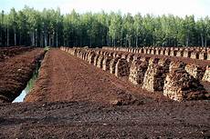 Natural Peat