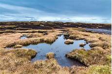 Natural Peat