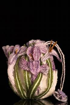 Organic Fabric