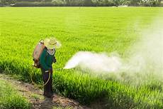 Pesticide