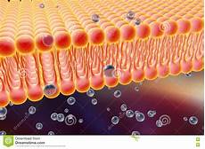 Phosphate Chemical