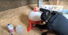 Poultry Waterer