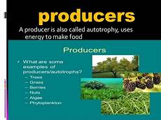 Producers
