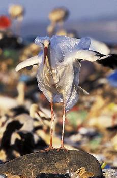 Rubbish Bag