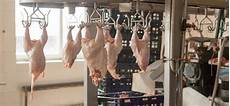Sausage Production Lines