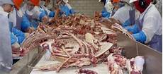 Sausage Production Lines