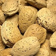 Shelled Almond
