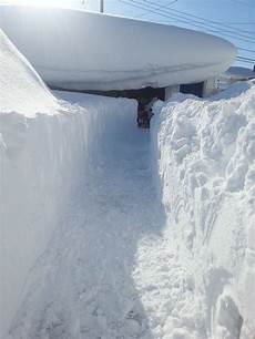 Shovel