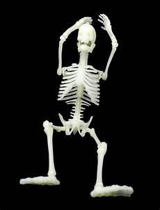 Skeleton