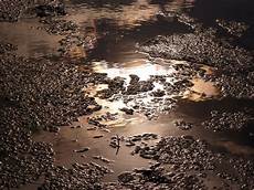Sludge