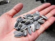 Sunflower Seed