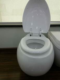 Toilet Sanitary