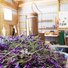 Versatile Diffusers