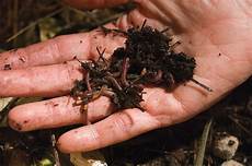 Wineyard Fertilizer
