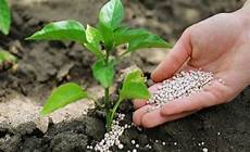 Wineyard Fertilizer