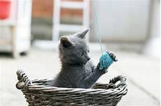 Yarn